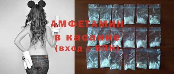 шишки Нягань