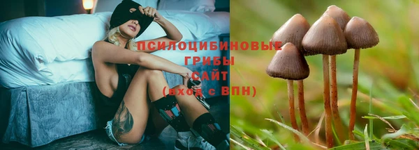2c-b Нязепетровск