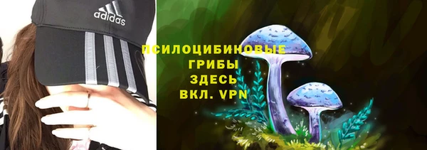соль курить ск Няндома