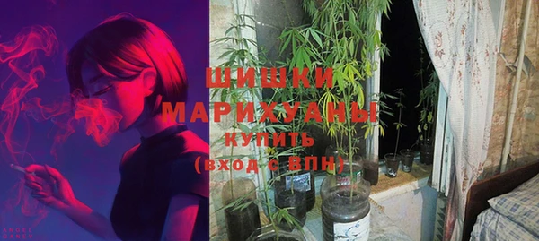 шишки Нягань