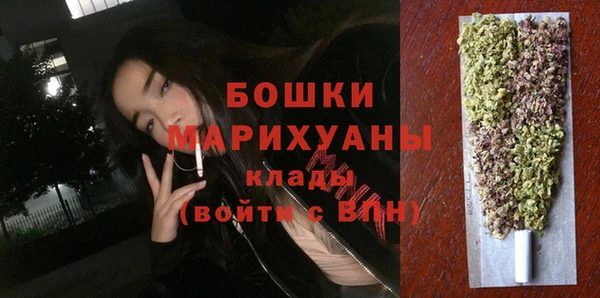шишки Нягань