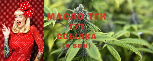 шишки Нягань