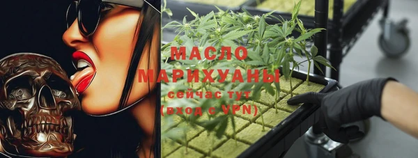сатива Новозыбков