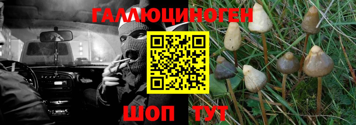 Псилоцибиновые грибы мухоморы Туймазы